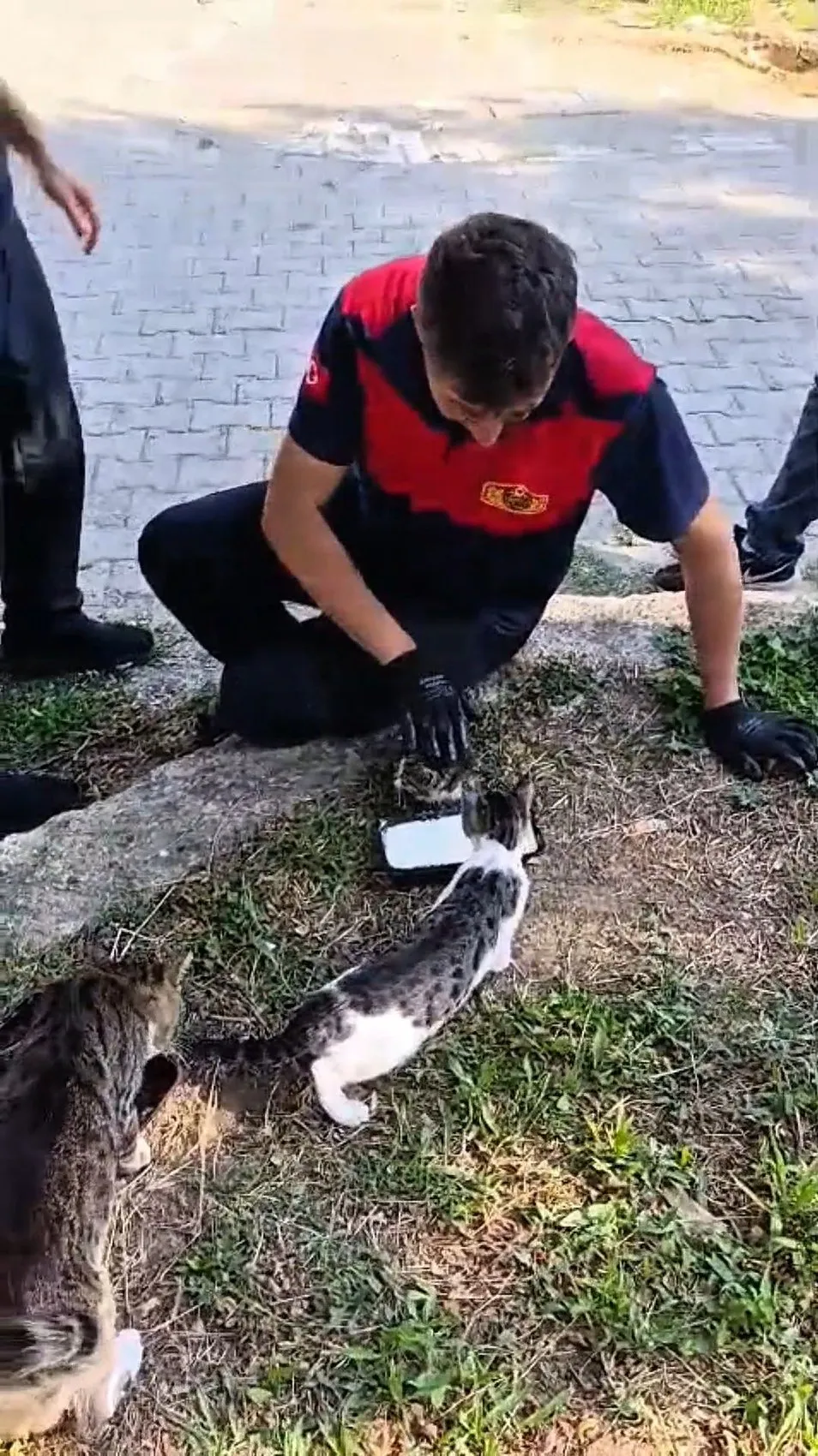 Zonguldak'ta rögara sıkışan yavru kedi bir saatlik uğraşla kurtarıldı