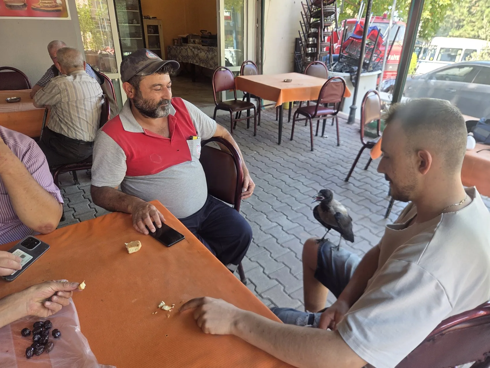 Göl kıyısında bulduğu kargayla ayrılmaz ikili oldu