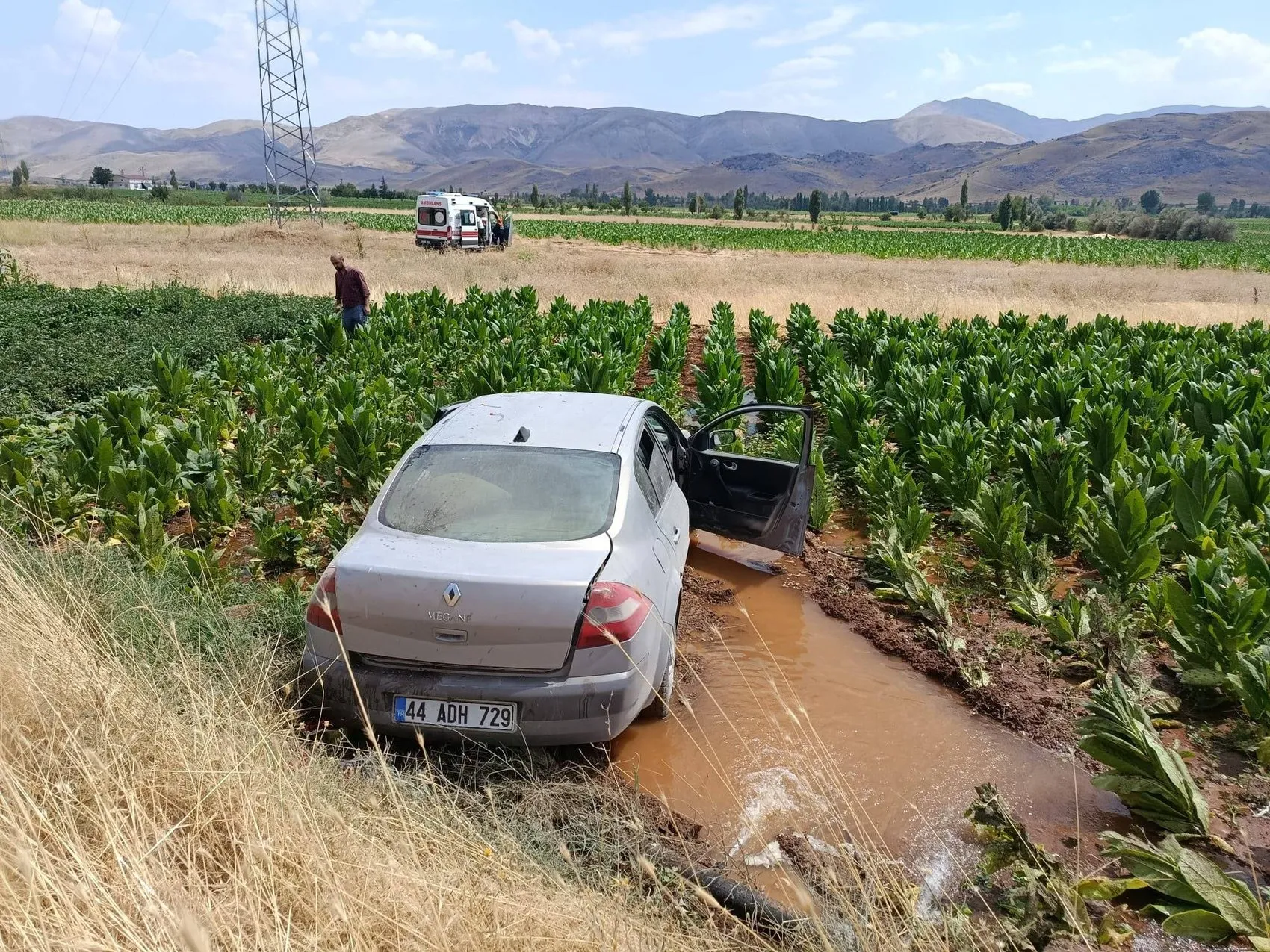 Malatya'da kontrolden çıkan araç tütün tarlasını biçti