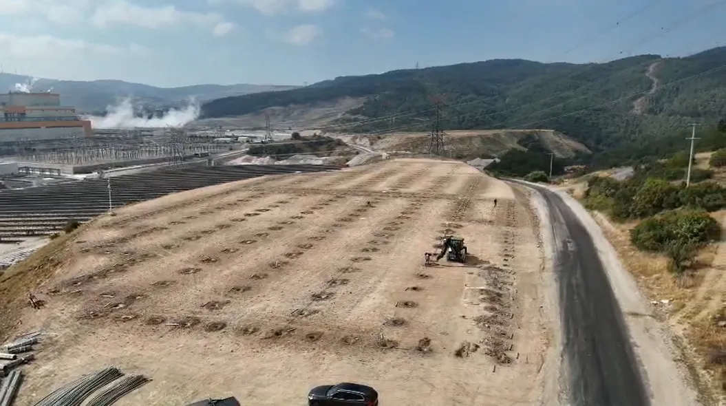 Termik santralin atık ısısı artık domates yetiştirecek