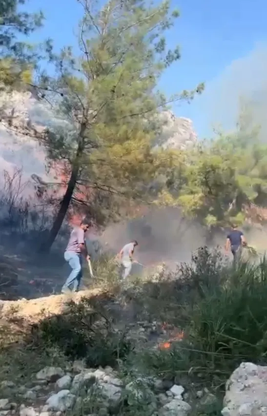 Hatay'da ormanlık alanda yangın alarmı