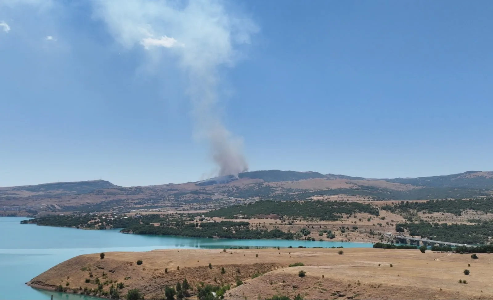 Tunceli'de orman sınırında korkutan yangın