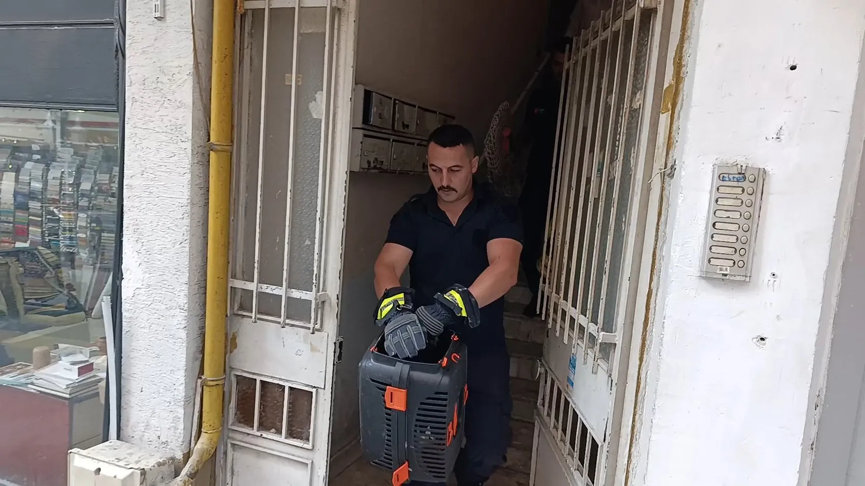 Amasya'da itfaiyeye kök söktüren kedi kurtarma operasyonu