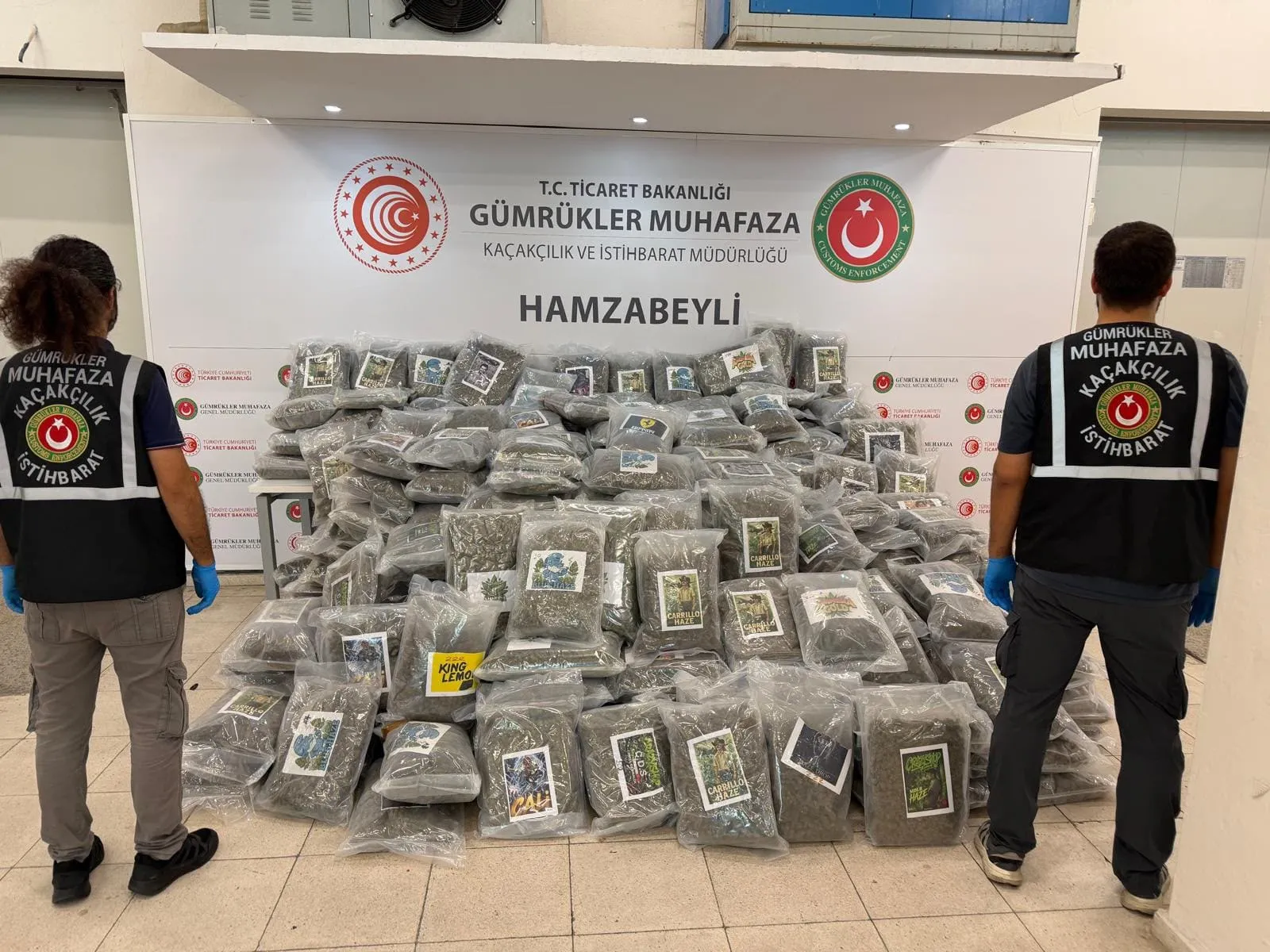Romanya'dan gelen araçta 288 kilo esrar çıktı