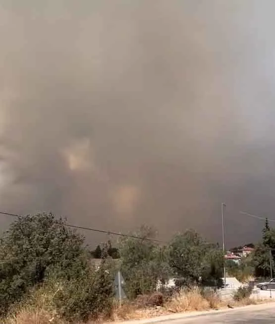 Kaş'ta orman yangını 853 personel alevlere karşı teyakkuzda