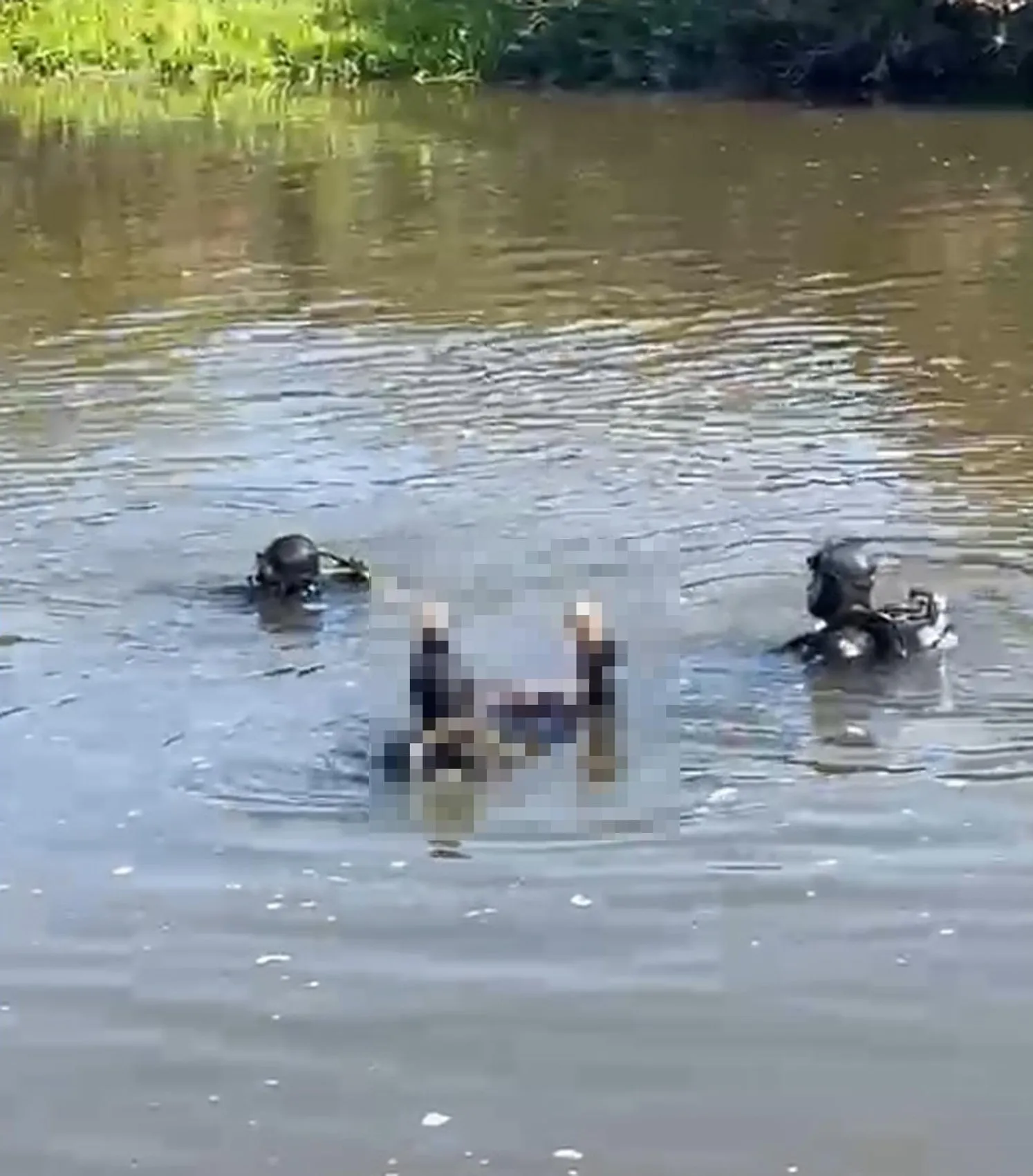 Kura Nehri'nde kaybolan çobandan acı haber geldi