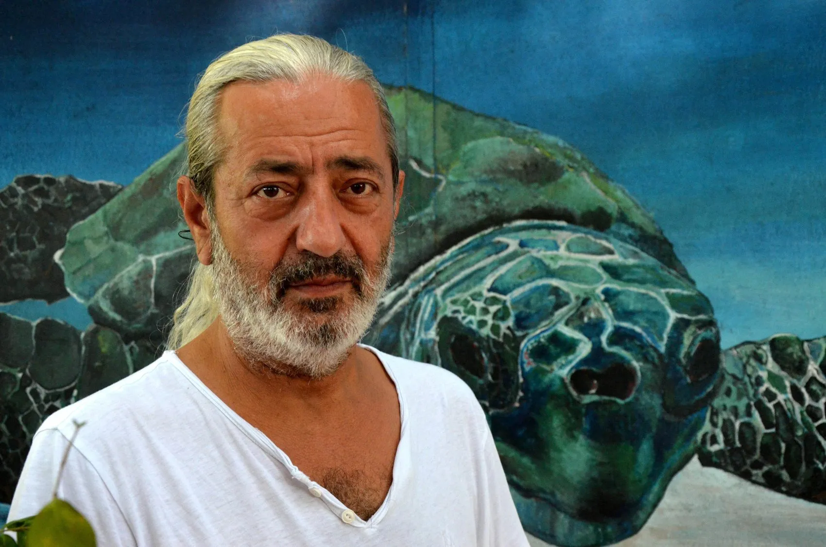 Antalya sahillerinde yakılan ateş yavru caretta carettayı öldürdü