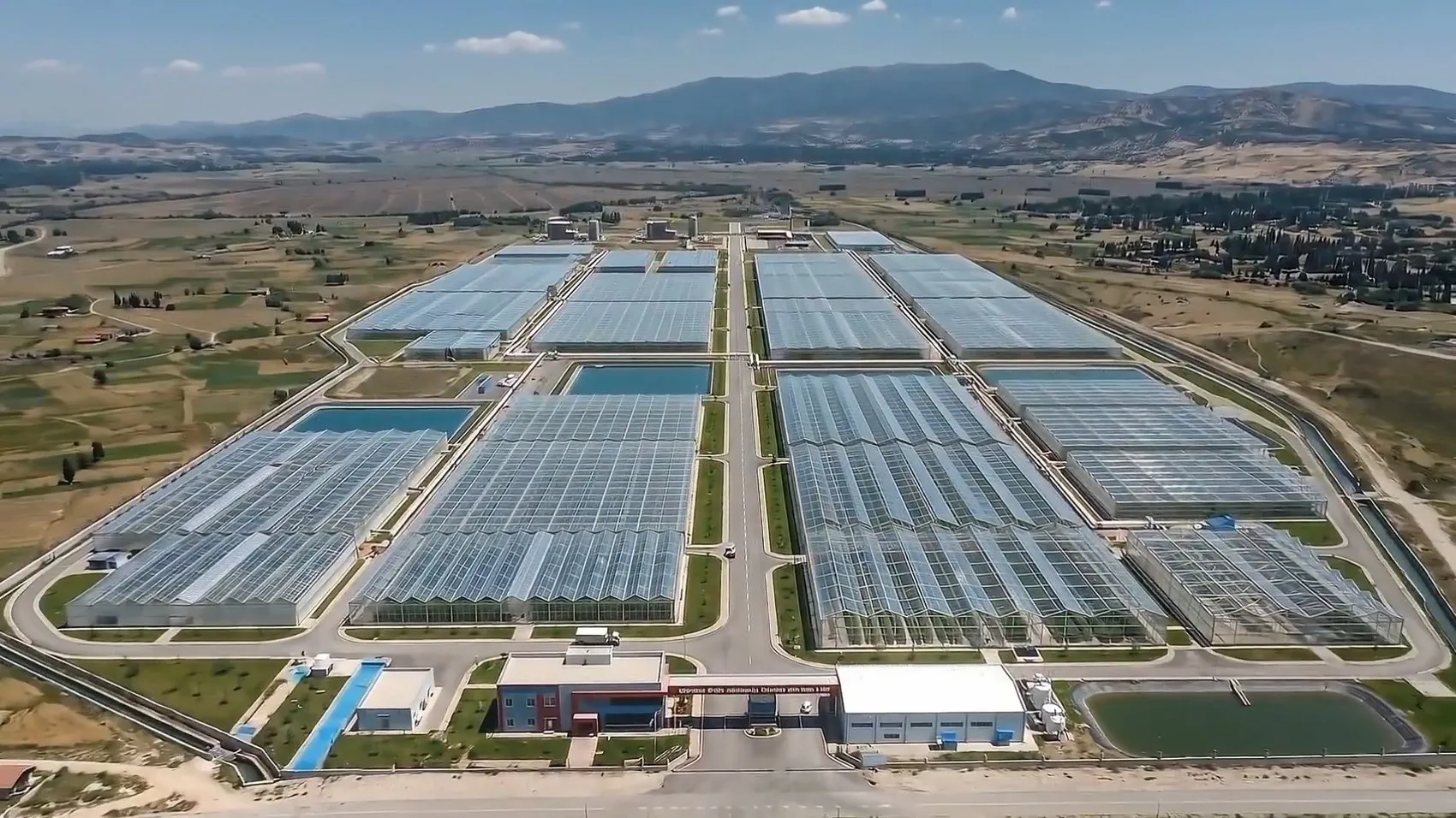 Jeotermalli seralar Kütahya'da 1500 kişiye iş kapısı açıyor