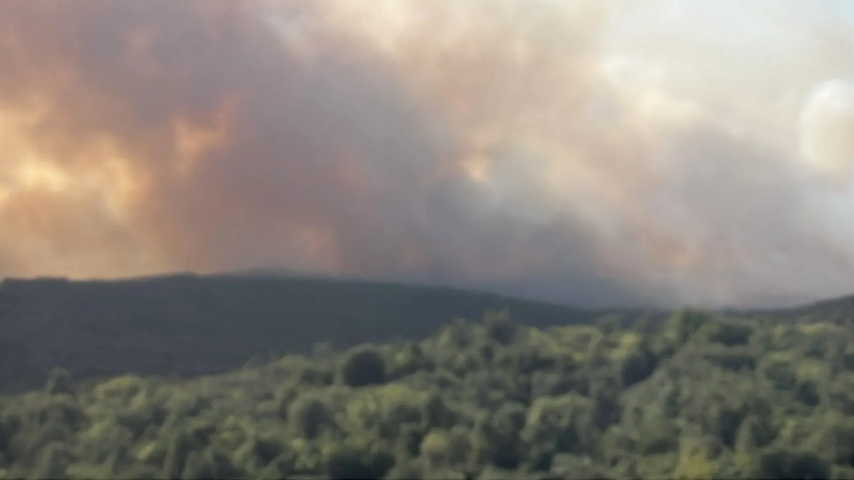 Gebze'de orman yangını havadan ve karadan müdahaleyle söndürüldü