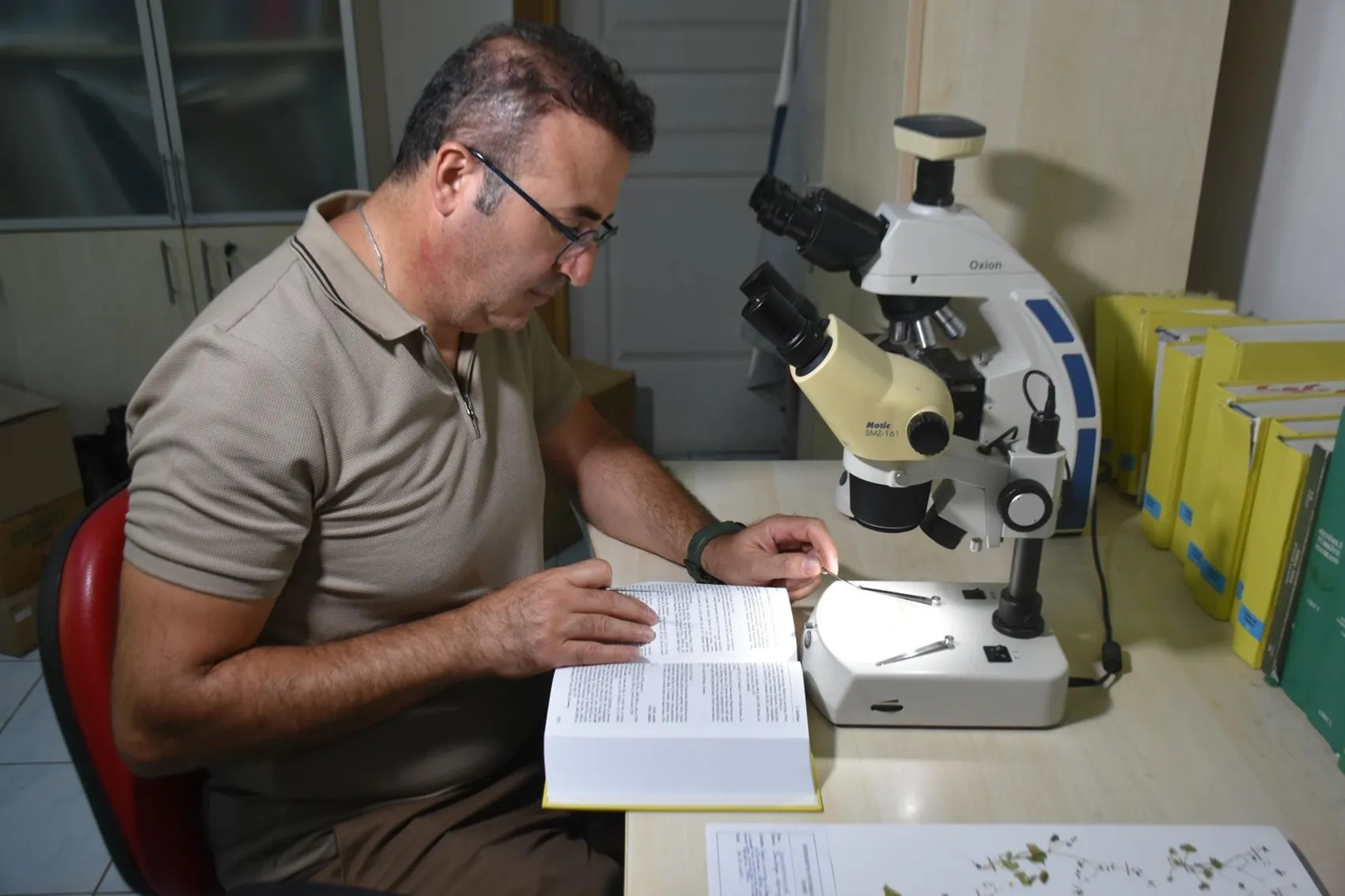 Latmos’ta parlayan nadir çiçek maden tehdidiyle karşı karşıya