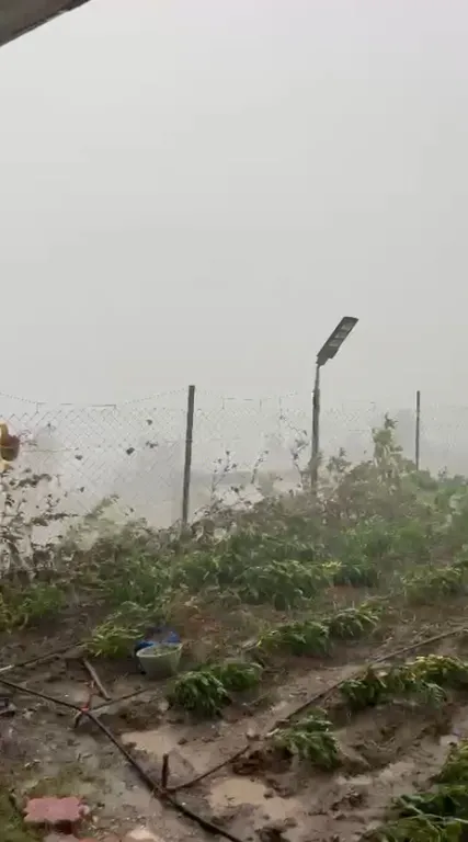 Osmaniye sıcaktan kavrulurken aniden dolu ve fırtına bastırdı