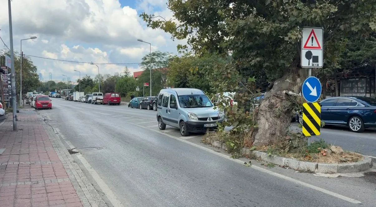 Beykoz'da motosiklet kazası: Sürücü yola savruldu, motor ağaçta asılı kaldı