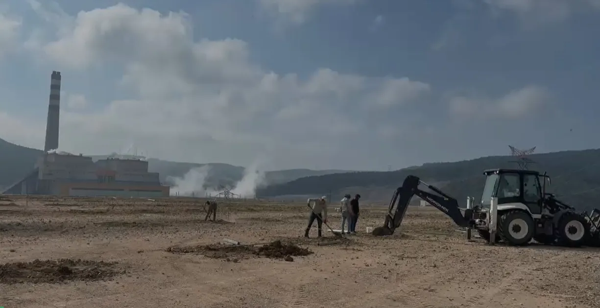 Termik santralin atık ısısı artık domates yetiştirecek