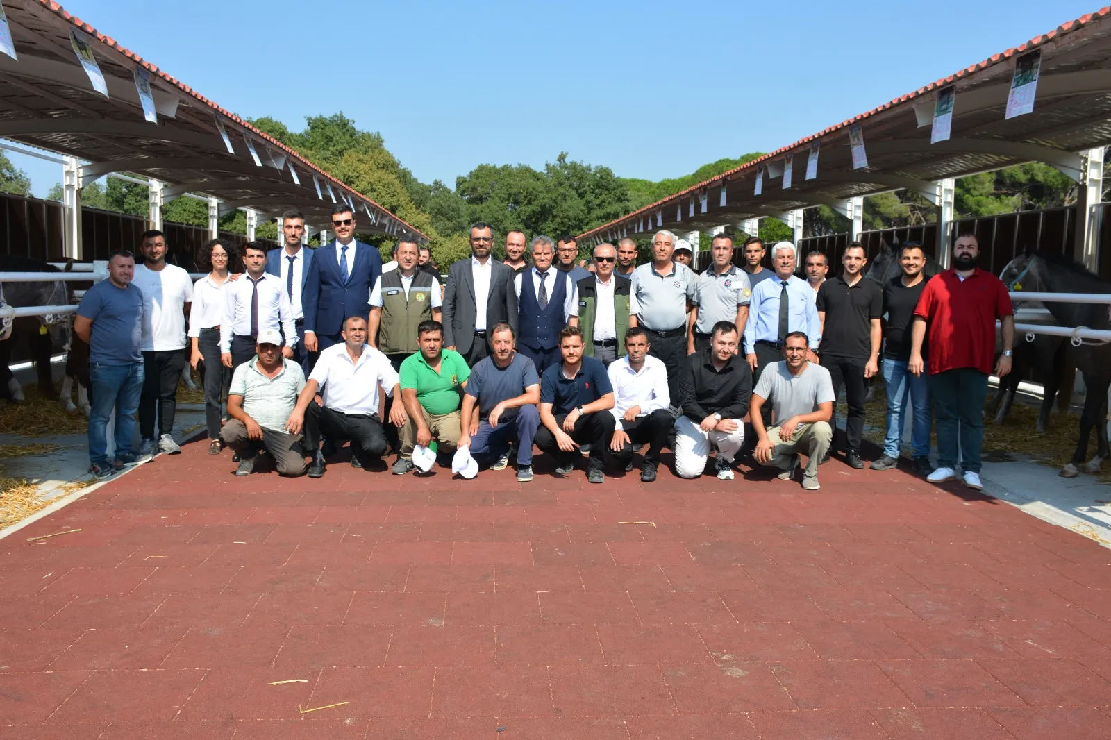 Karacabey'de şampiyon adayı taylar milyonlarca liraya el değiştirdi