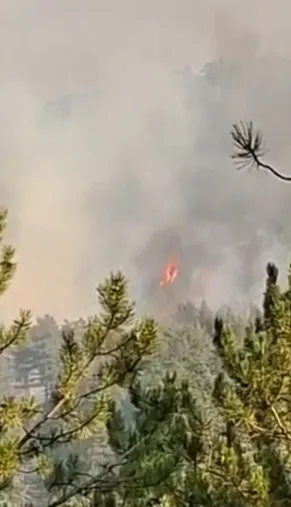 Bolu Göynük alevlere teslim oldu