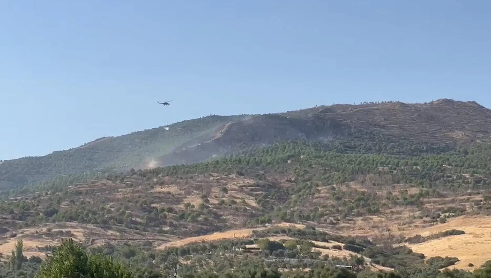 Ödemiş'te orman yangınına havadan ve karadan müdahale