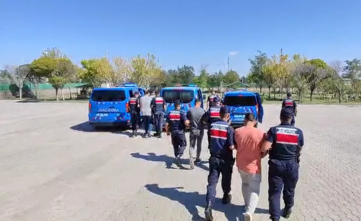 Aksaray'da köpek dövüştürüp canlı yayın yapanlara ceza yağdı