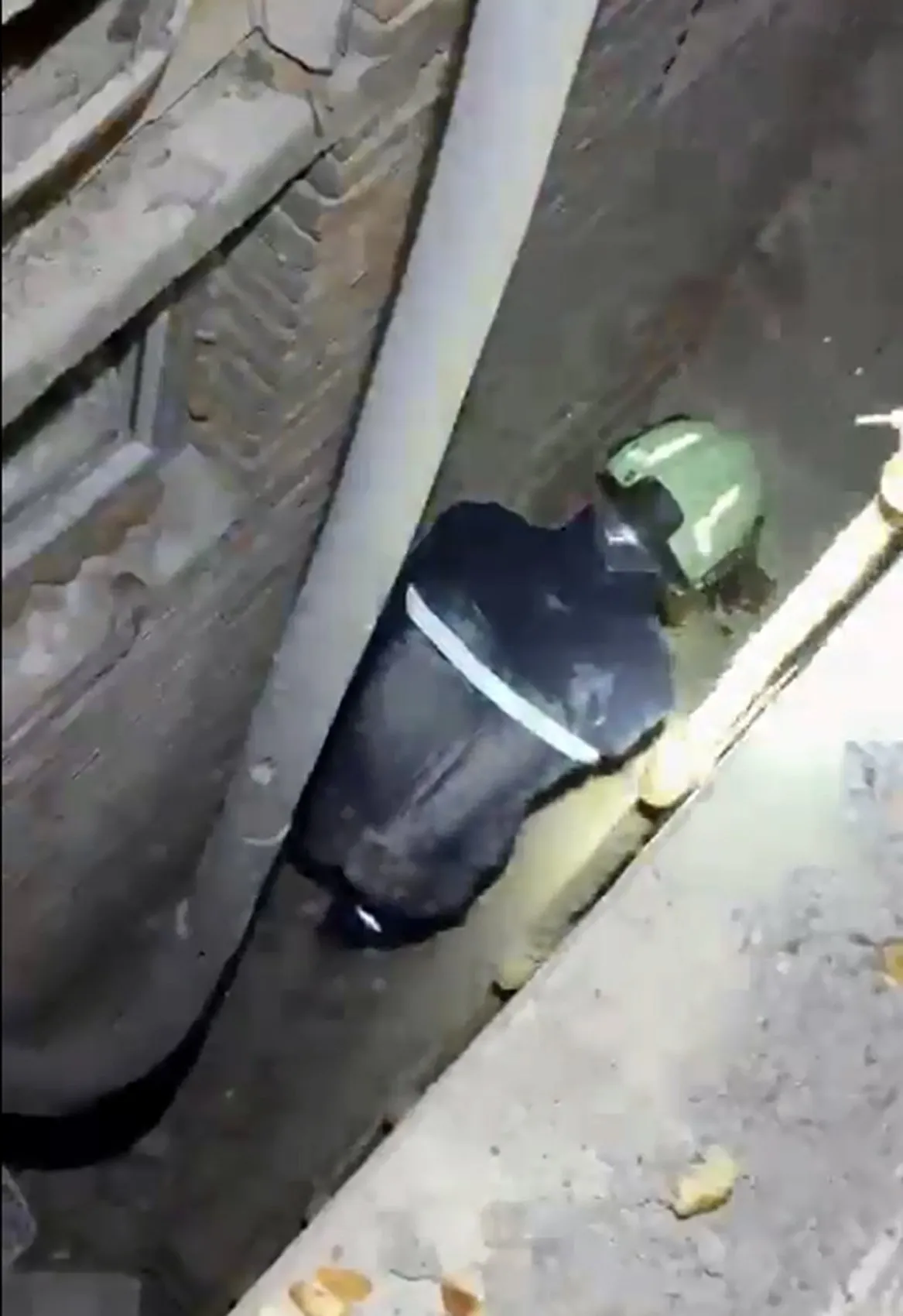 Burdur'da itfaiyeyi şaşırtan kedi operasyonu