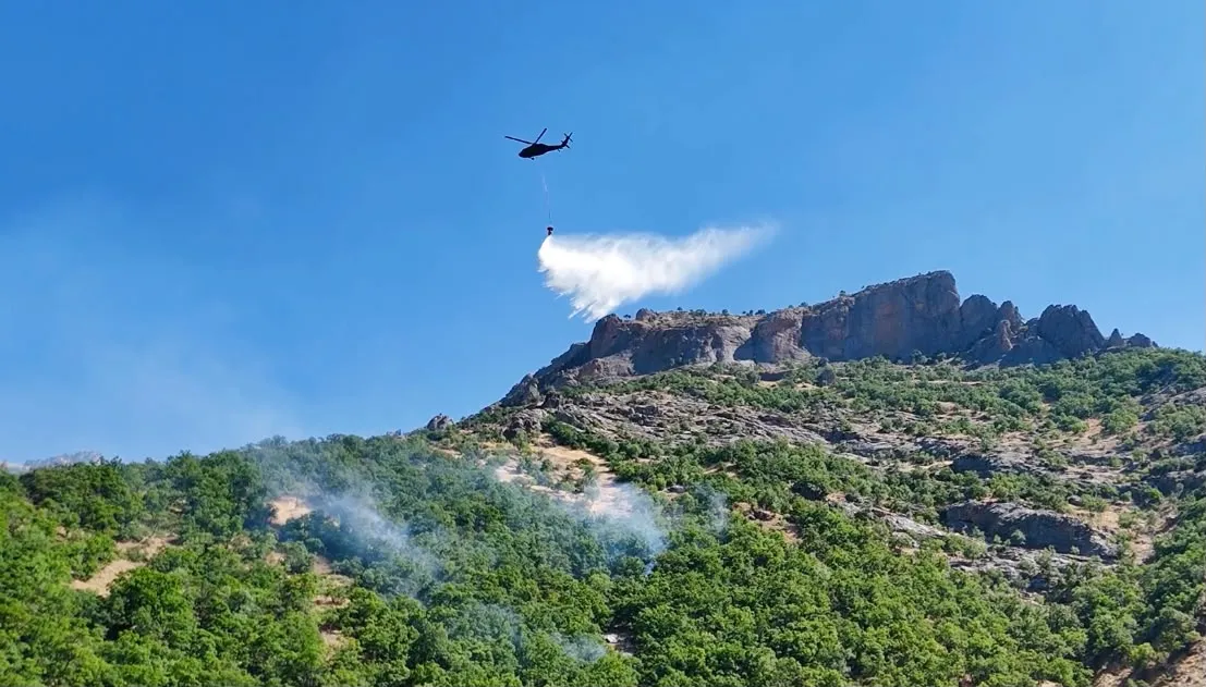 Munzur Vadisi'ndeki orman yangını söndürüldü