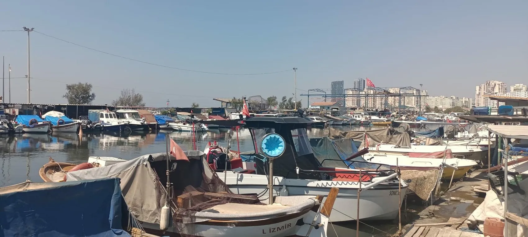 Palamut bu yıl bol ve ucuz, balıkçılar sezon için hazır