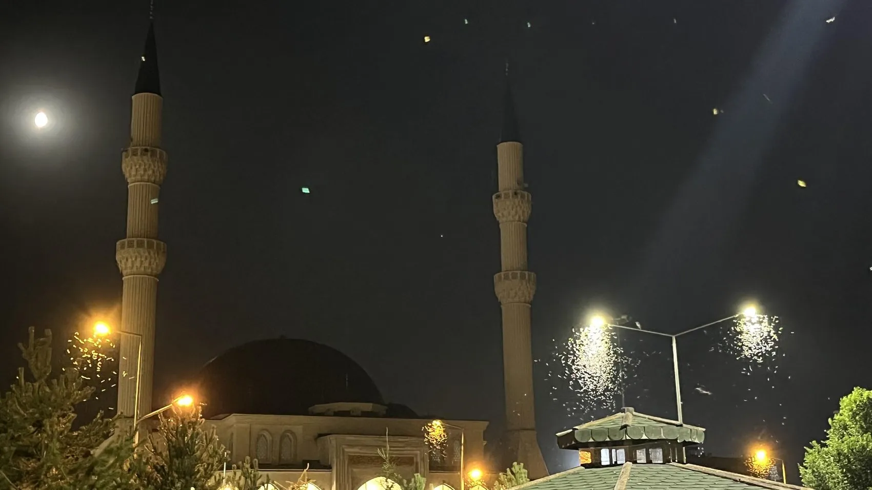 Ardahan'da beyaz kelebeklerin ışıkla imtihanı
