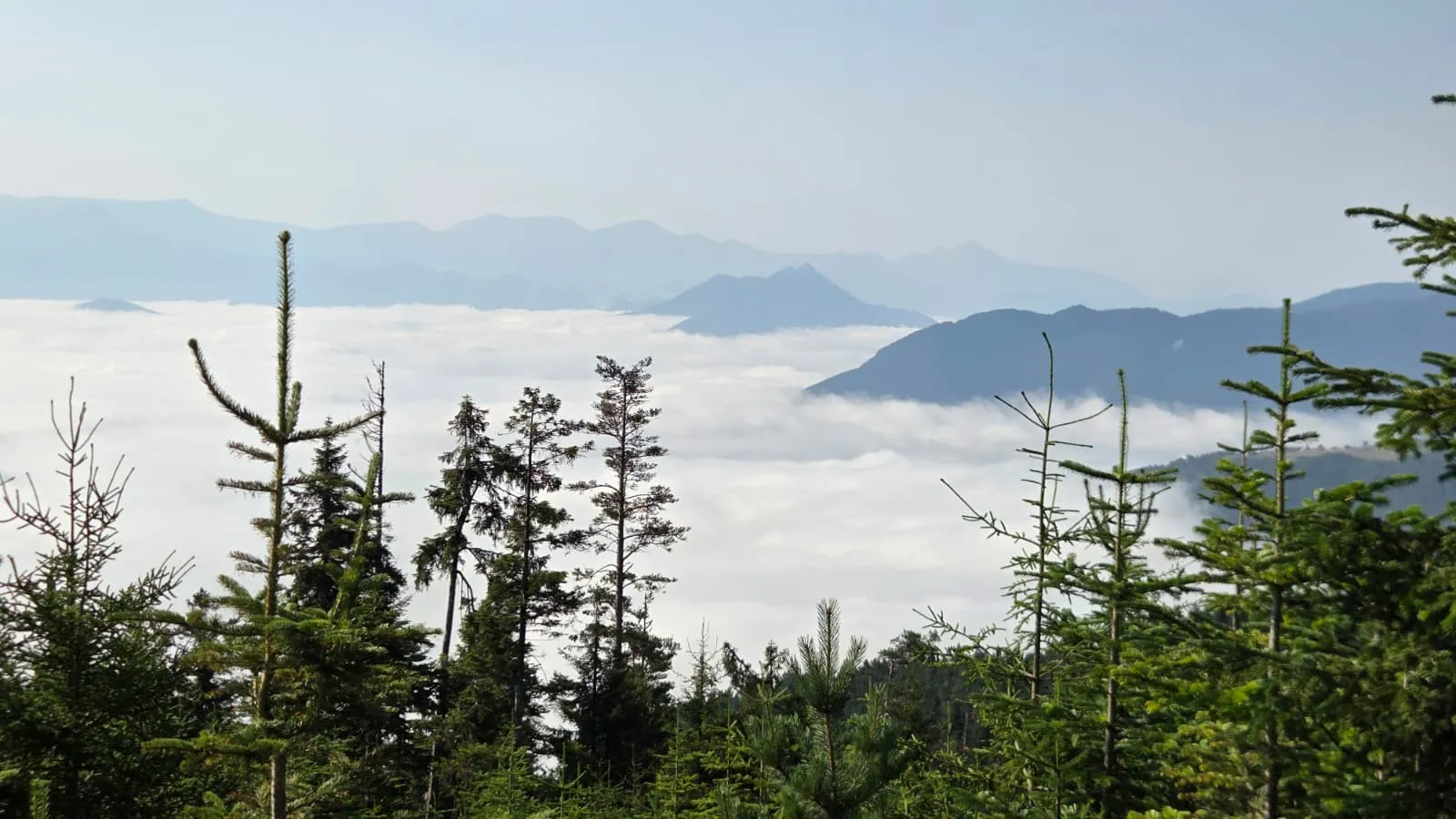 Artvin’in zirvelerinde oluşan dev sis denizi görüntülendi
