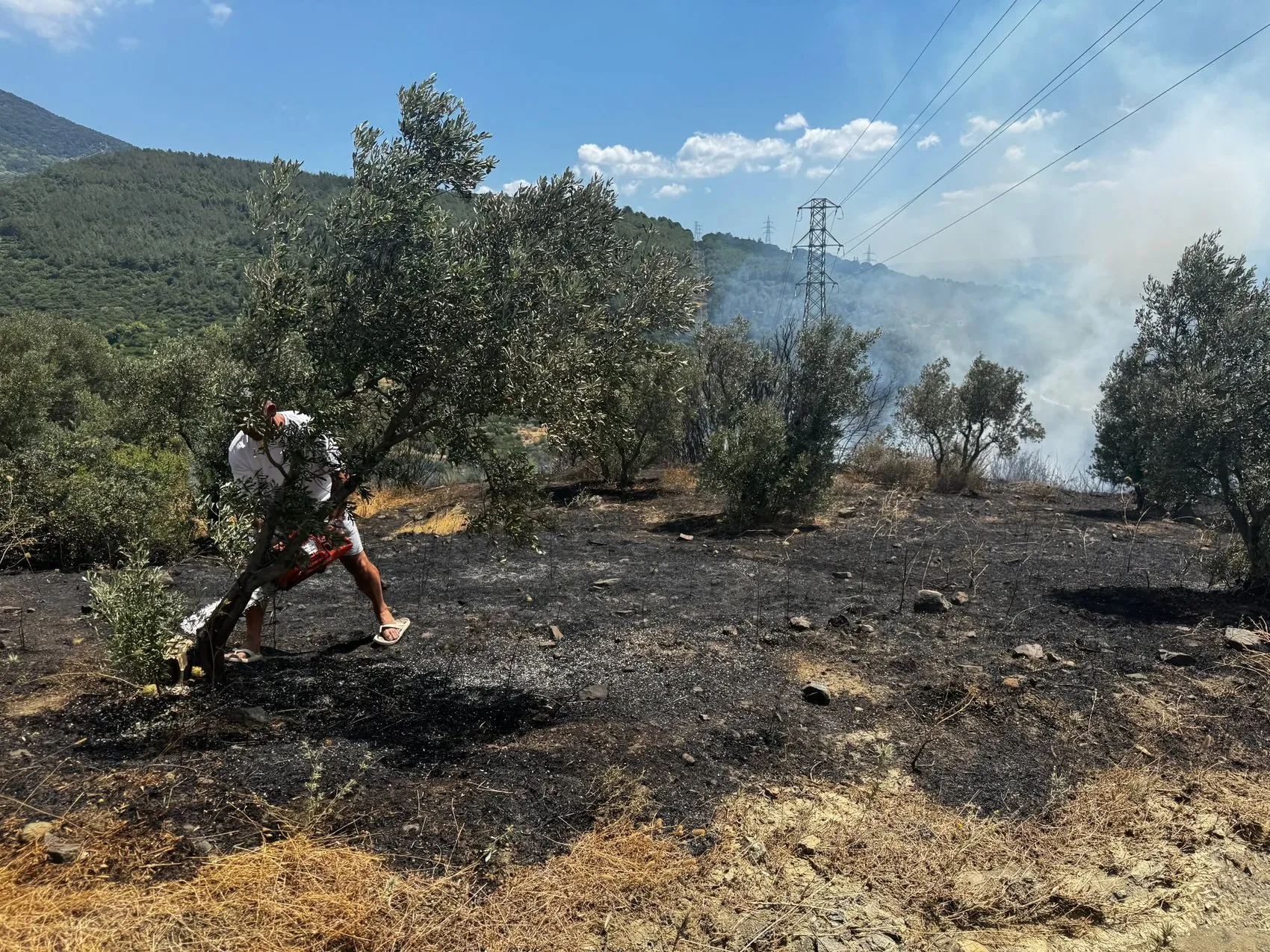 Erdek ormanlarında korkutan yangın kontrol altına alındı