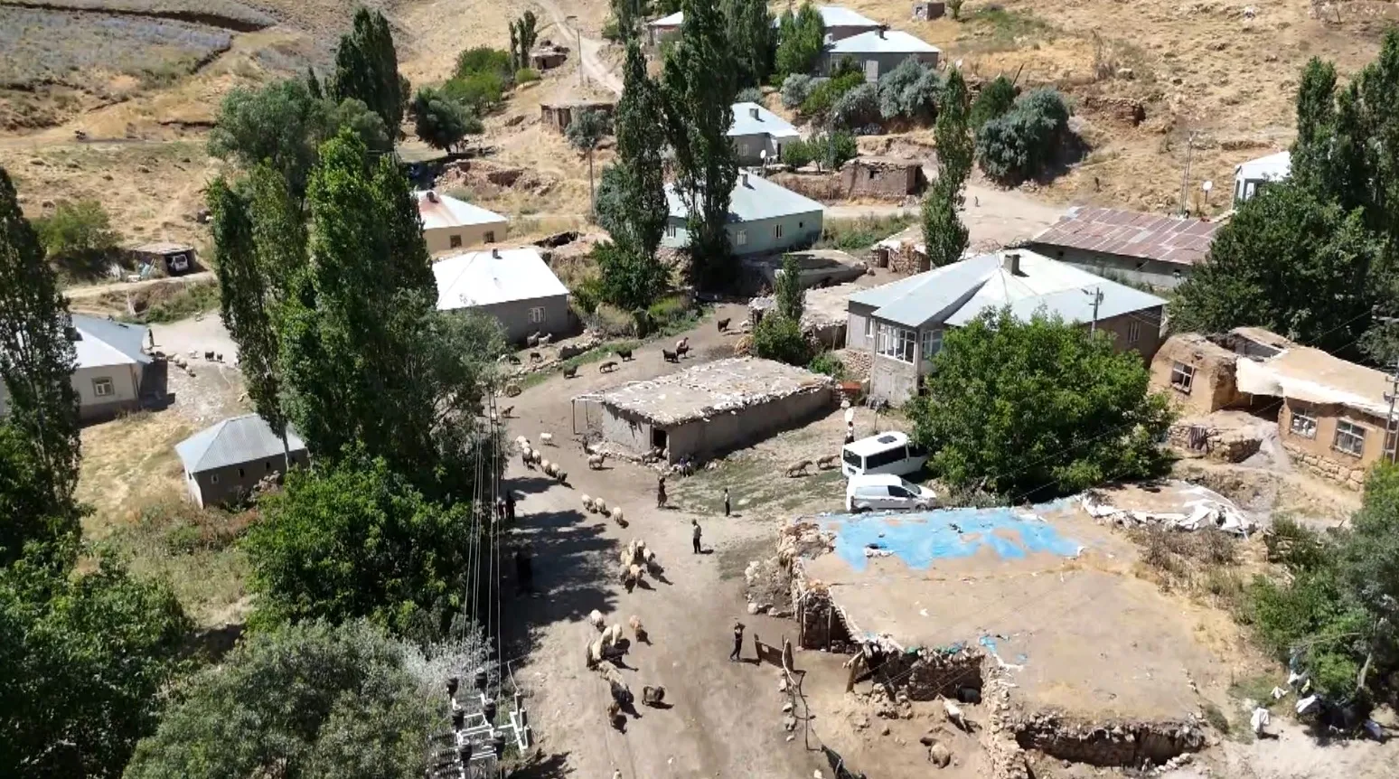 Yüksekovalı besicilerin 30 yıllık su çilesi bitmiyor