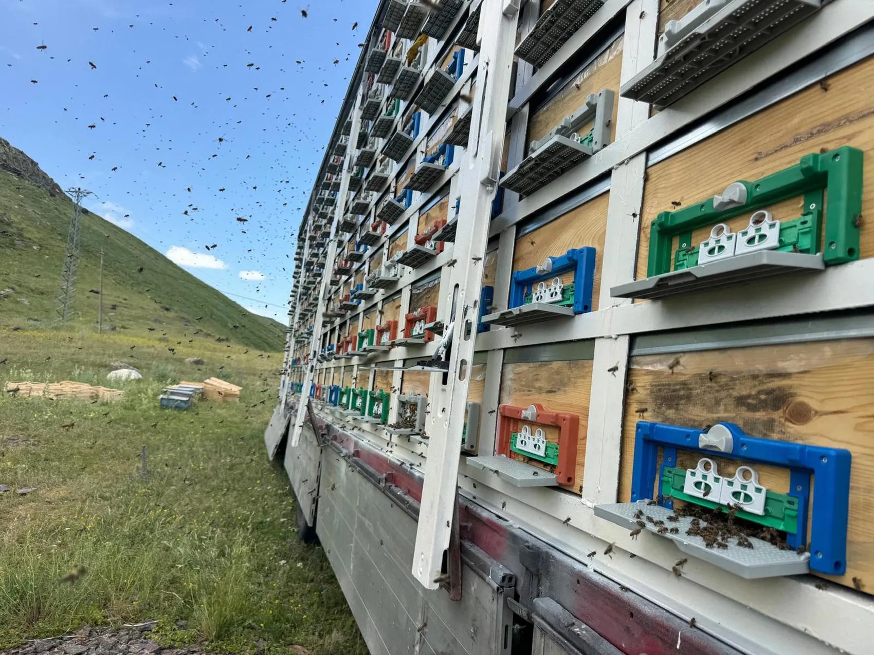 Karslı arıcıdan TIR dorsesinde devrim gibi bal üretimi