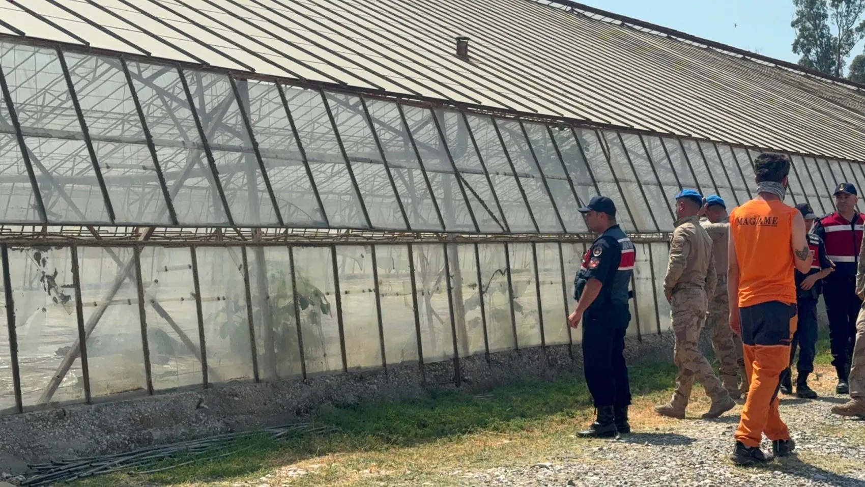 Seydikemer'de günlerdir aranan Mehmet Ali Yiğit serada ölü bulundu