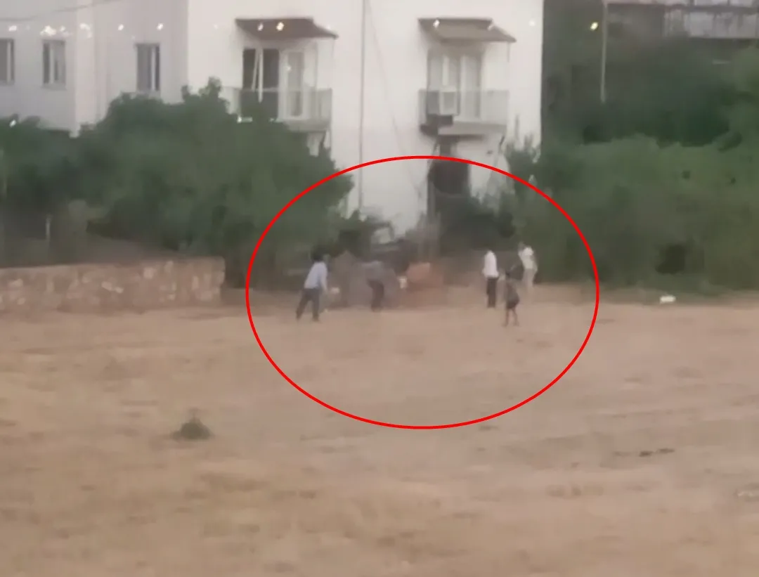 İneğin ipi kurtuldu, sahibiyle kovalamaca başladı