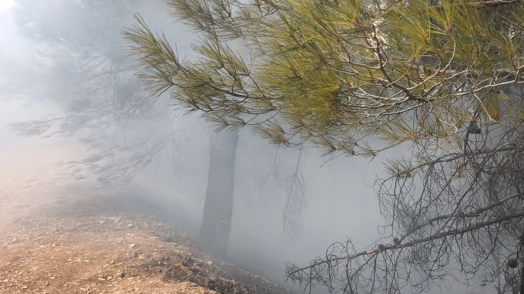 Kahramanmaraş'ta orman yangını Ekipler alevlere havadan ve karadan müdahale ediyor