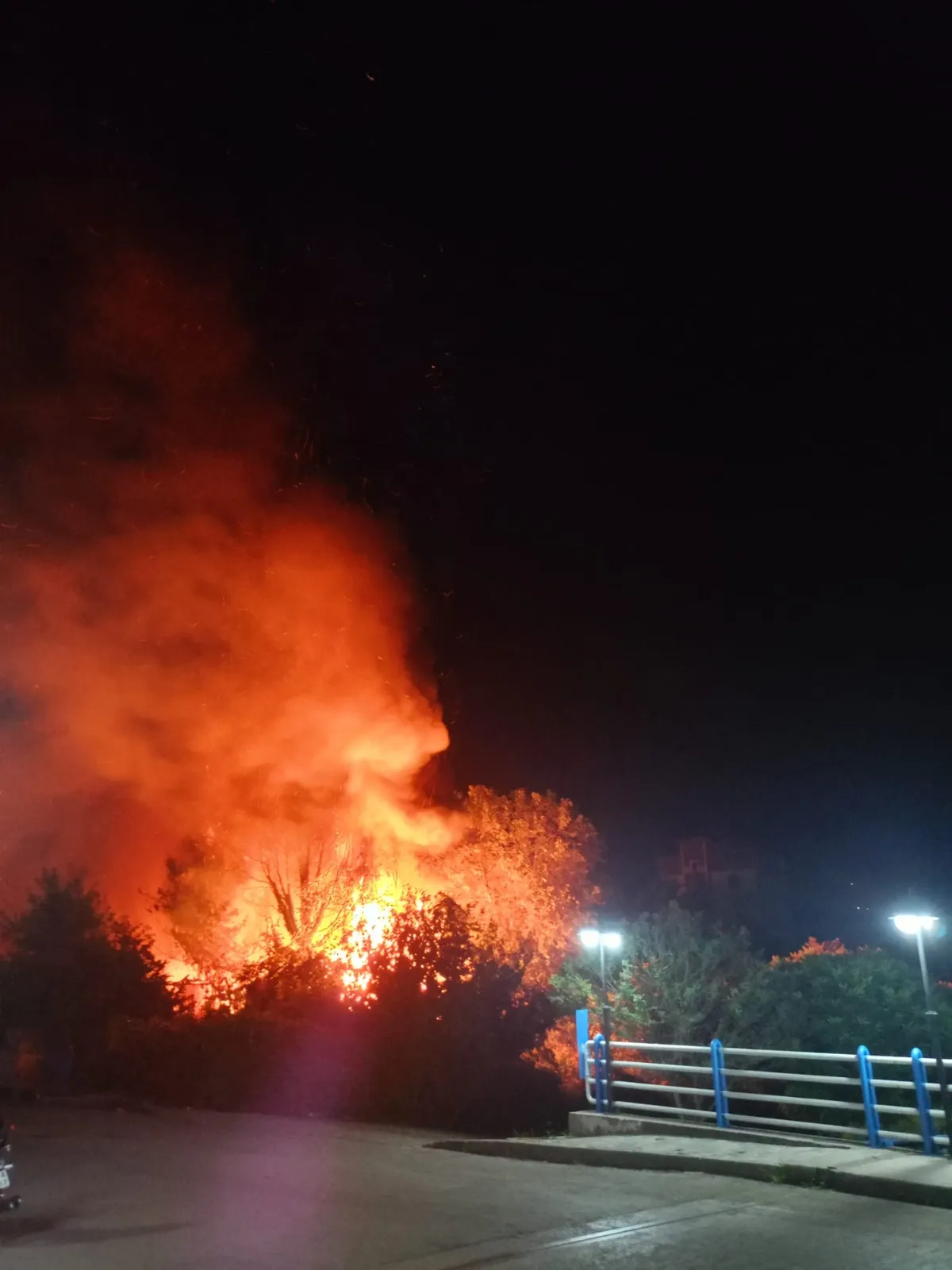 Samsun Salıpazarı’nda gece çıkan depo yangını korkuttu