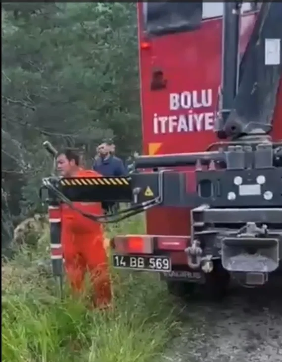 Bolu'da 50 metrelik uçuruma düşen inek vinçle kurtarıldı