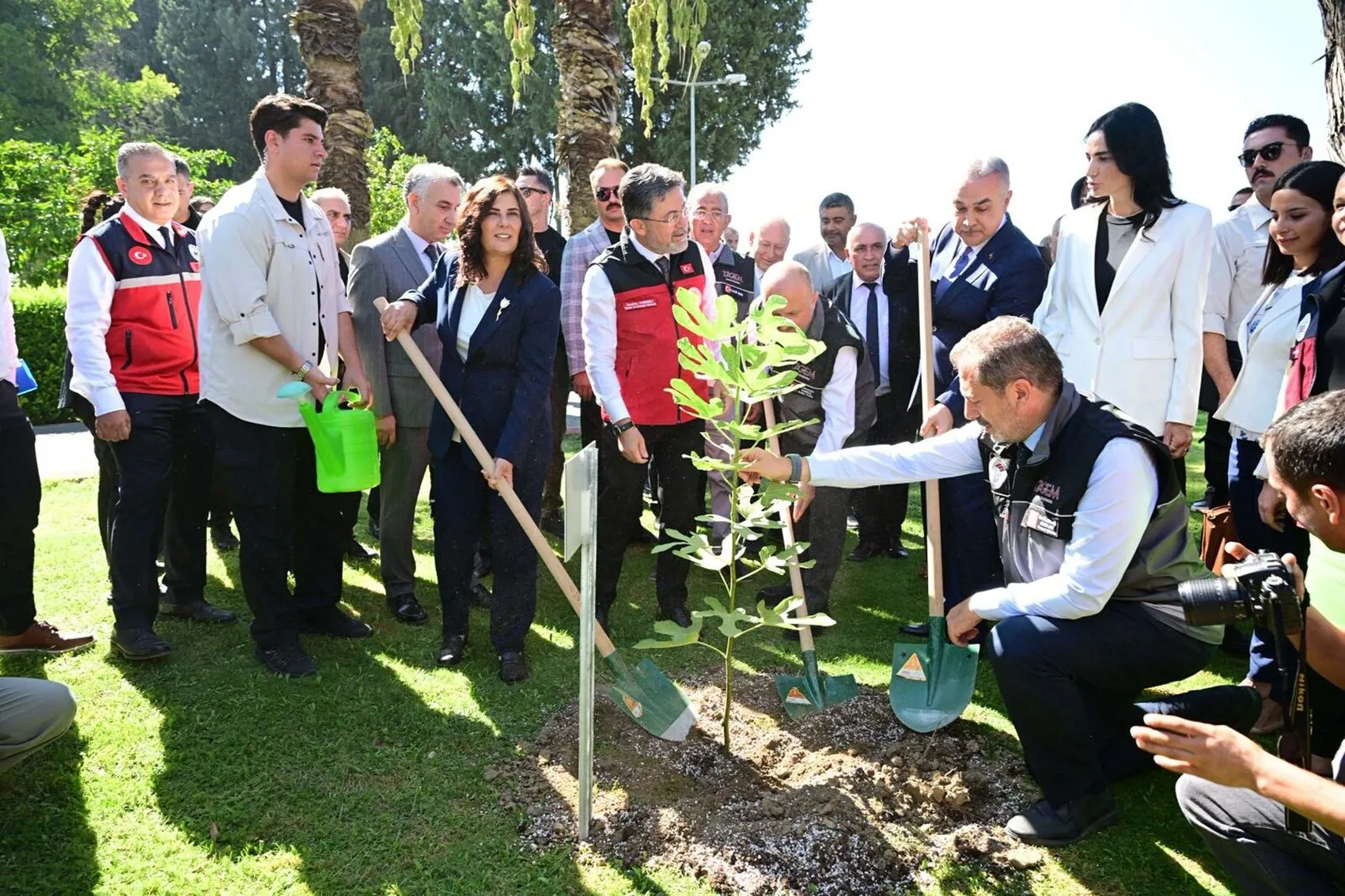 İncirde dünya lideri Türkiye'den dev rekolte beklentisi: Bakan Yumaklı Aydın'da açıkladı