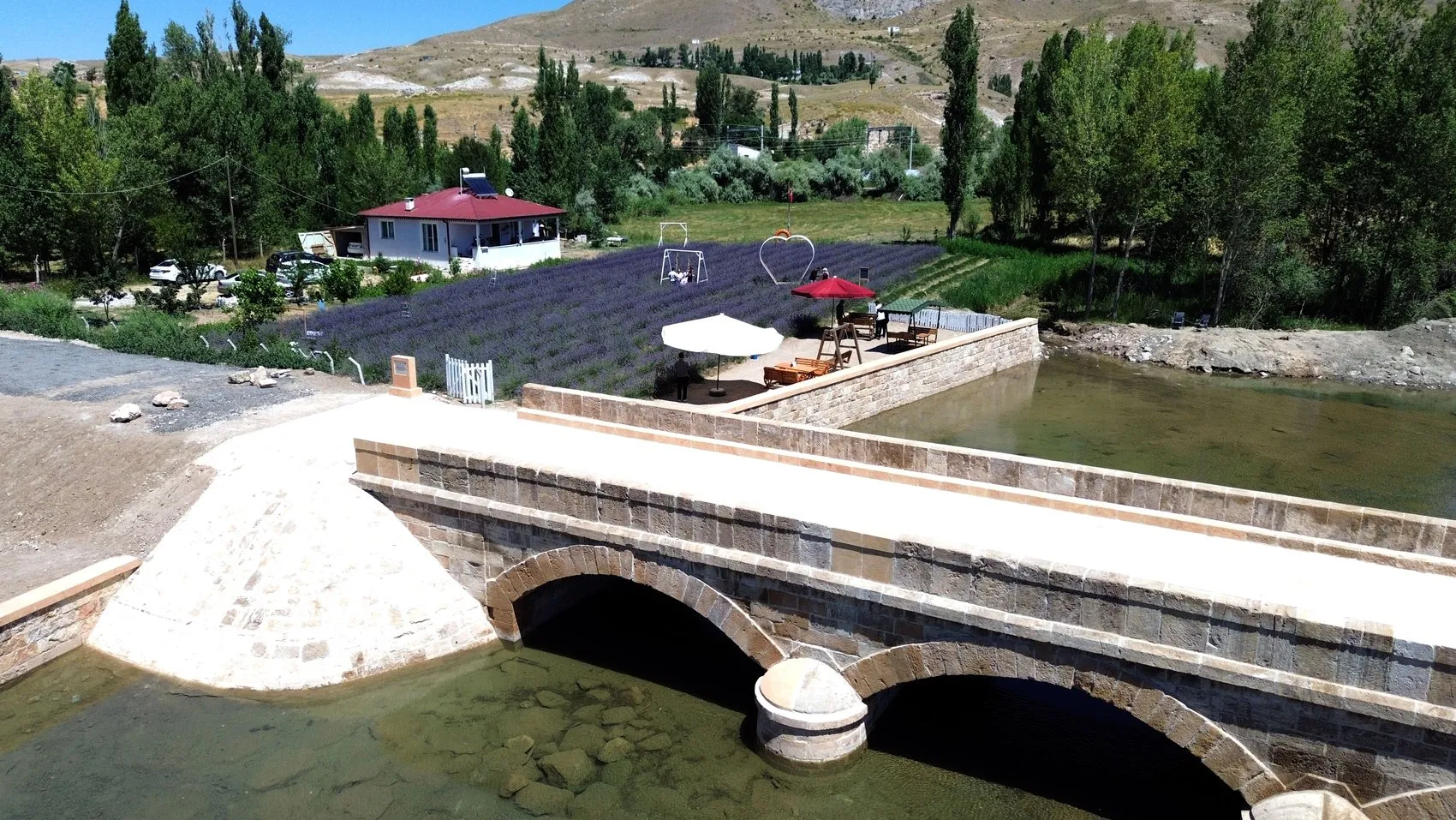 Emekli memur tarlasını mor bahçeye çevirdi