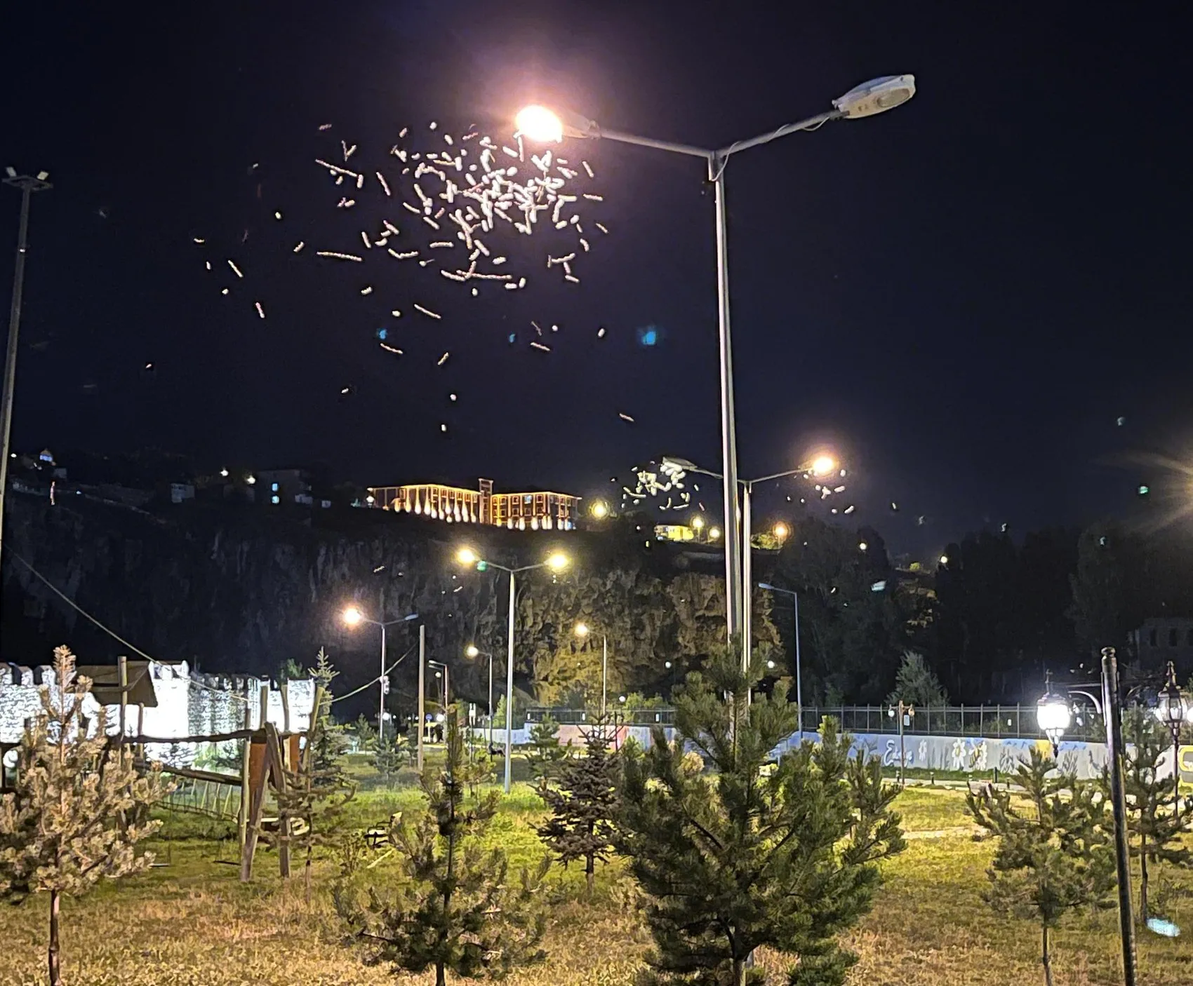 Ardahan’da milyonlarca kelebeğin ışığa göçü başladı