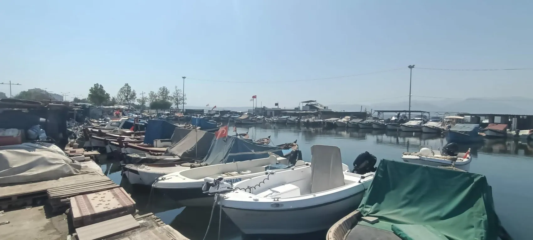 Palamut bu yıl bol ve ucuz, balıkçılar sezon için hazır