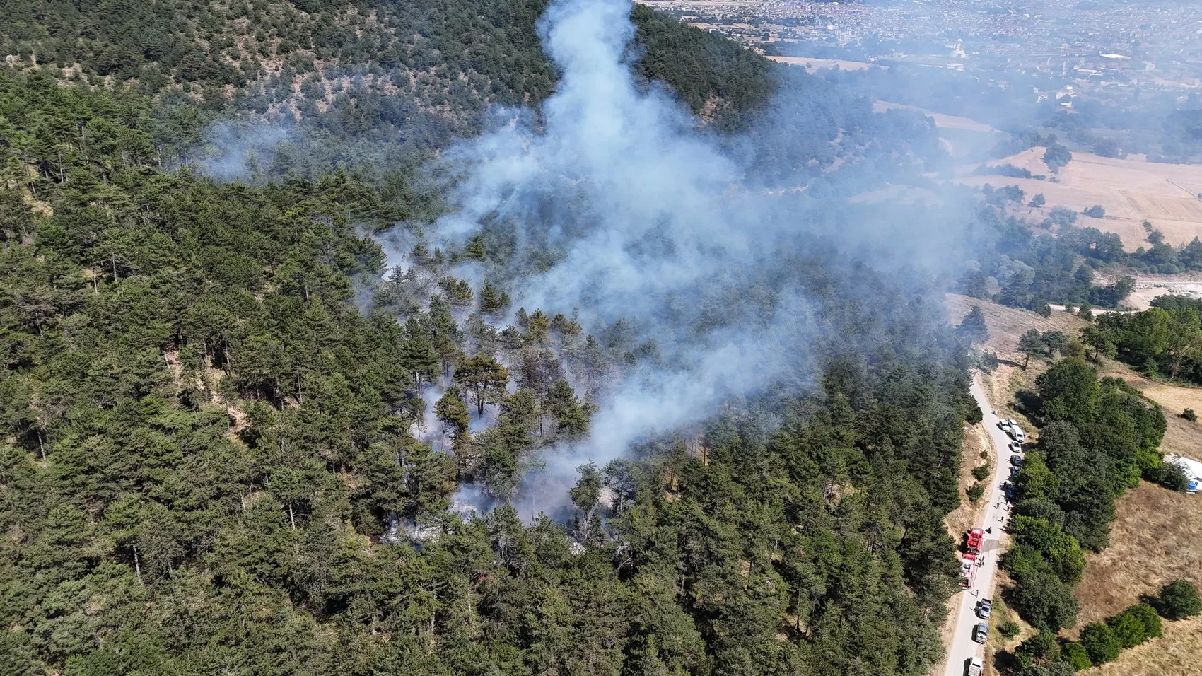Bolu Kızılağıl köyü yakınlarında orman yangını başladı