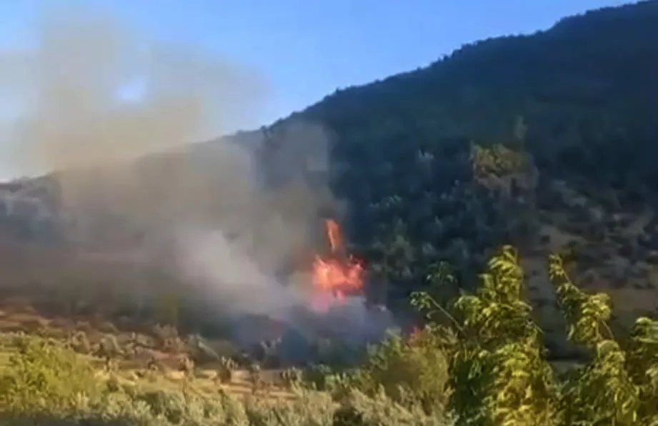 İslahiye ormanlarında kısa süreli yangın paniği