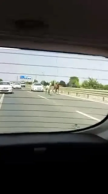 İnegöl yolunda trafik durma noktasına geldi