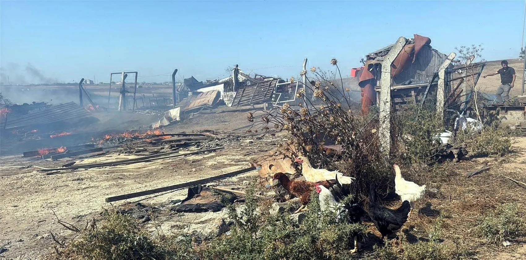 Tekirdağ'da alevler çiftlikleri yuttu