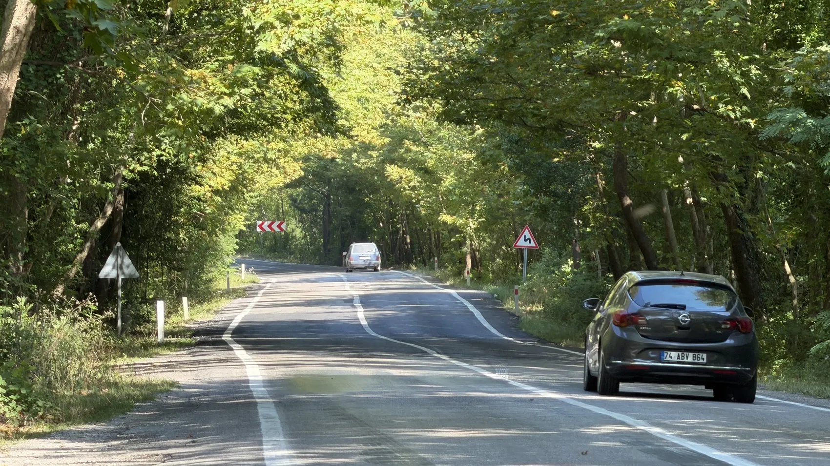 Bartın'da doğanın oluşturduğu o meşhur ağaç tünel yolu