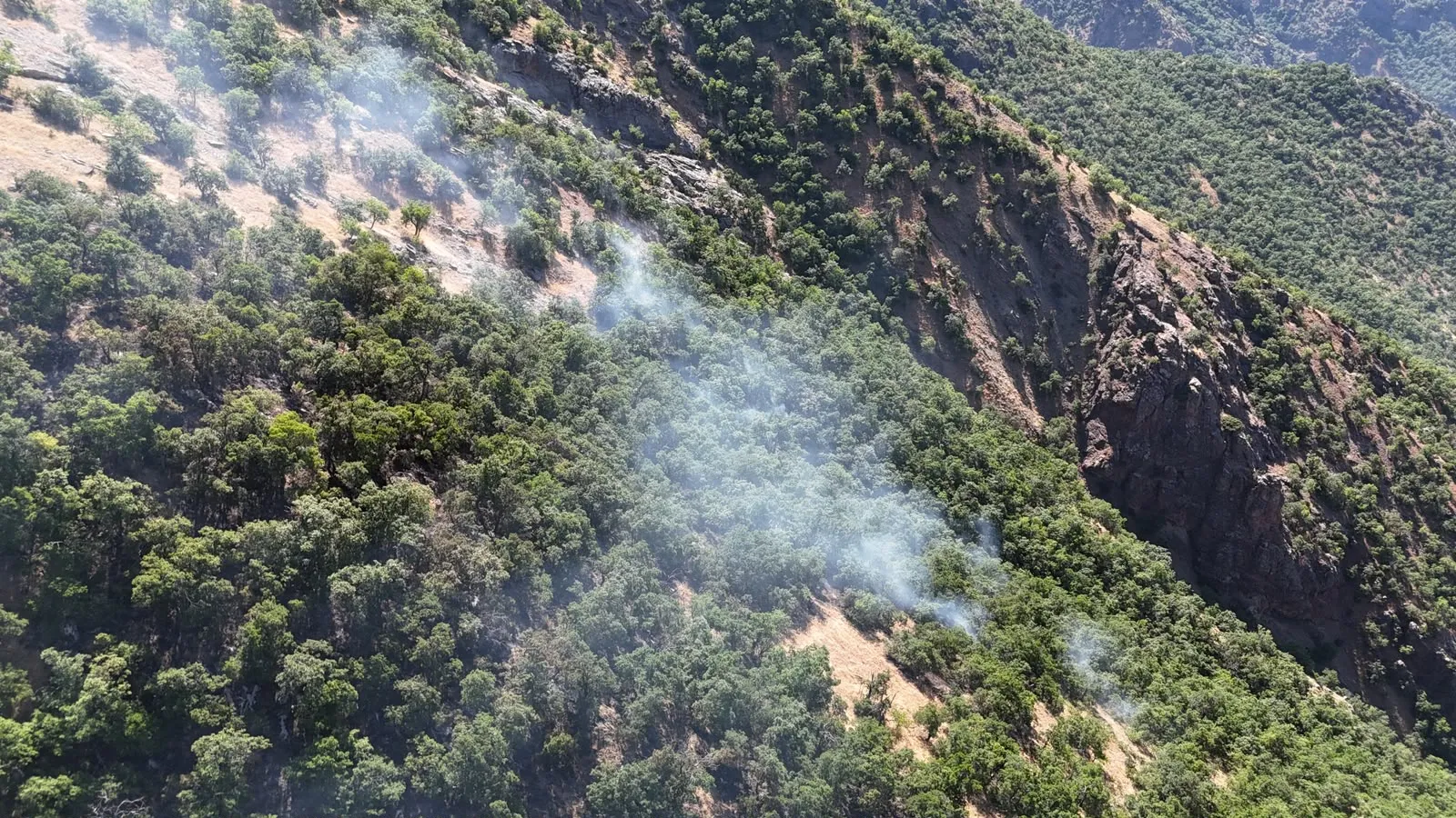 Munzur Vadisi'ndeki orman yangını söndürüldü