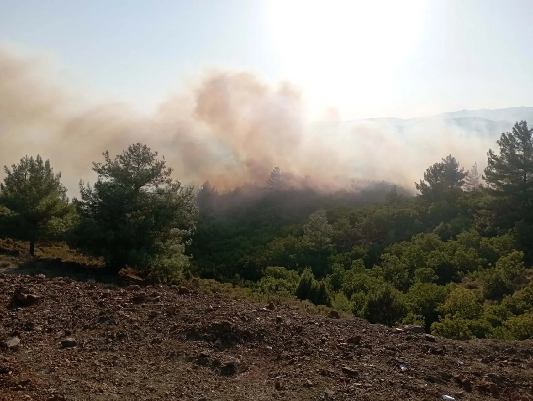 Balıkesir Havran’da çıkan yangın büyümeden söndürüldü