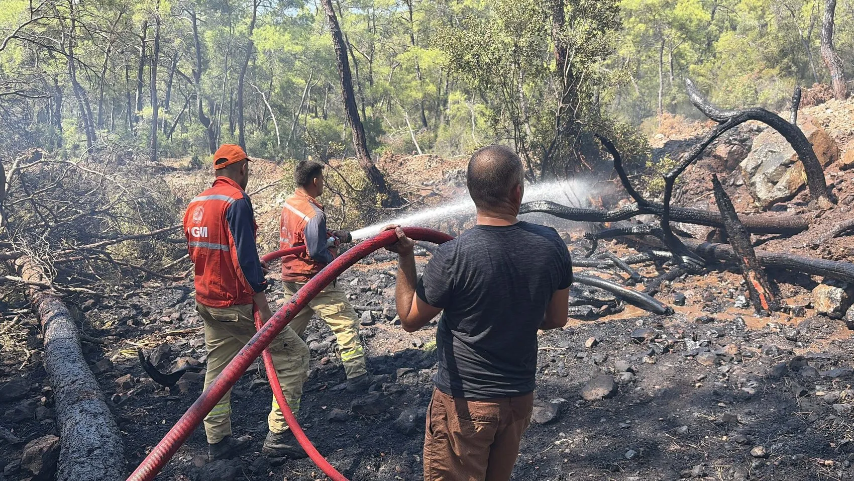 Fethiye'de kamyonet yangını ormana sıçradı