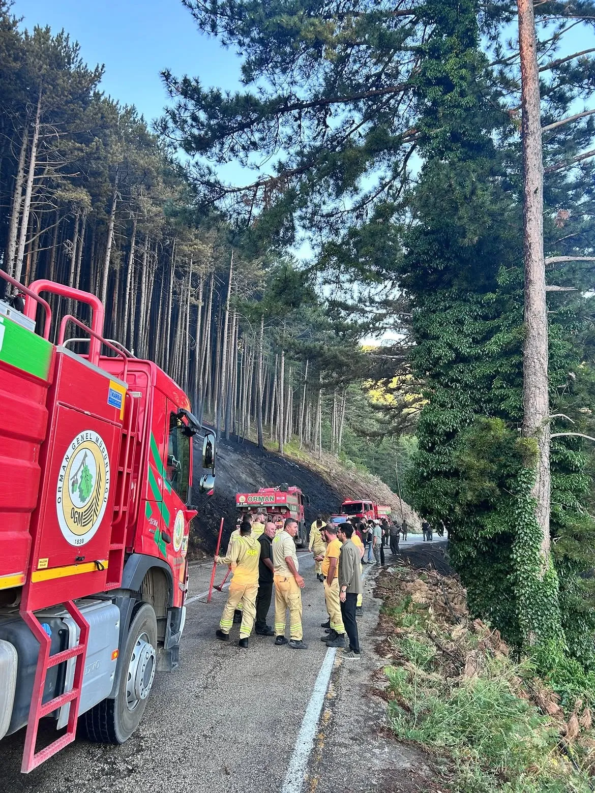 Uludağ yolunda çıkan orman yangını büyümeden söndürüldü