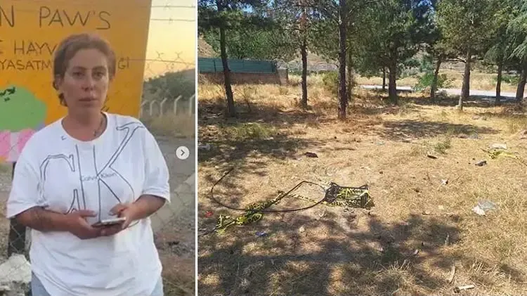 Sokak hayvanları derneği başkanını öldüren ağabeyi tutuklandı