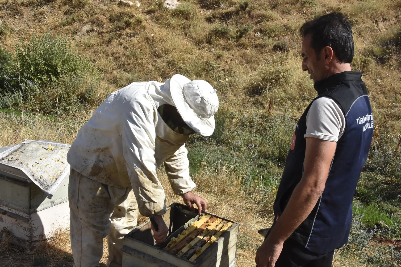 Bitlis yaylalarında bal bereketi yaşanıyor