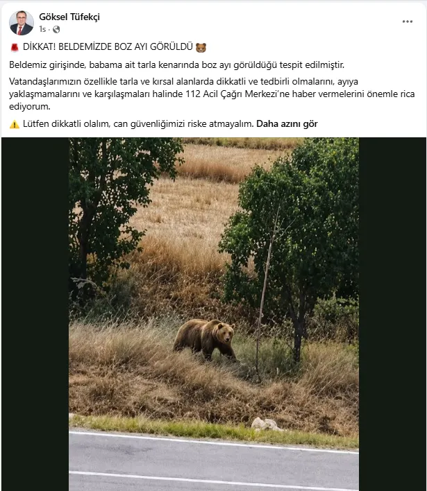 Edirne Meriç'te bozayı paniği yaşanıyor